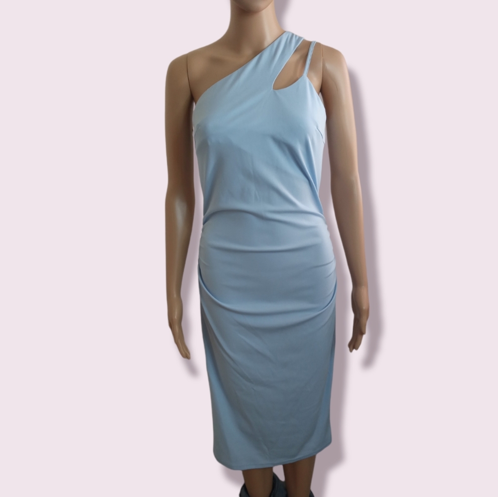 NWT Blue Grace Karin Dress Sz Small
